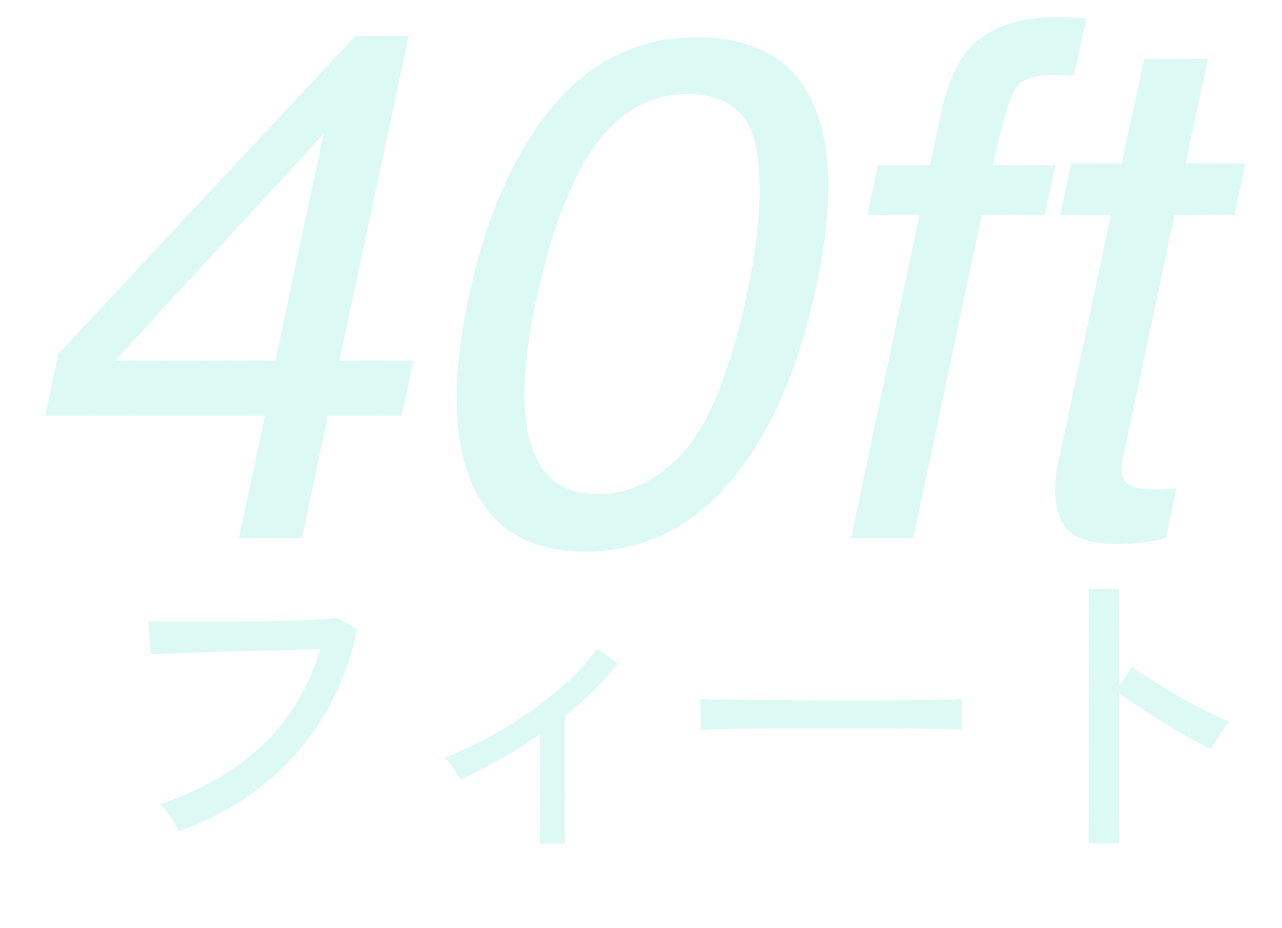 40ft